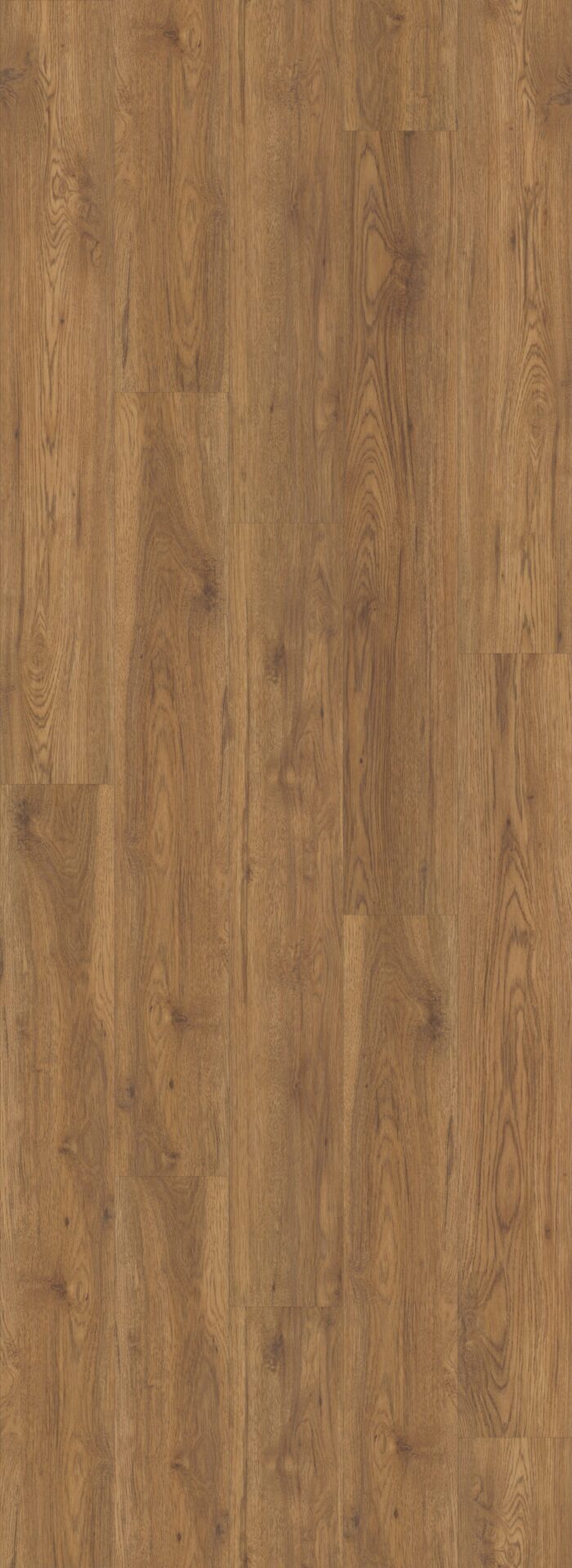 marsh1_UV024_00714_ROOM