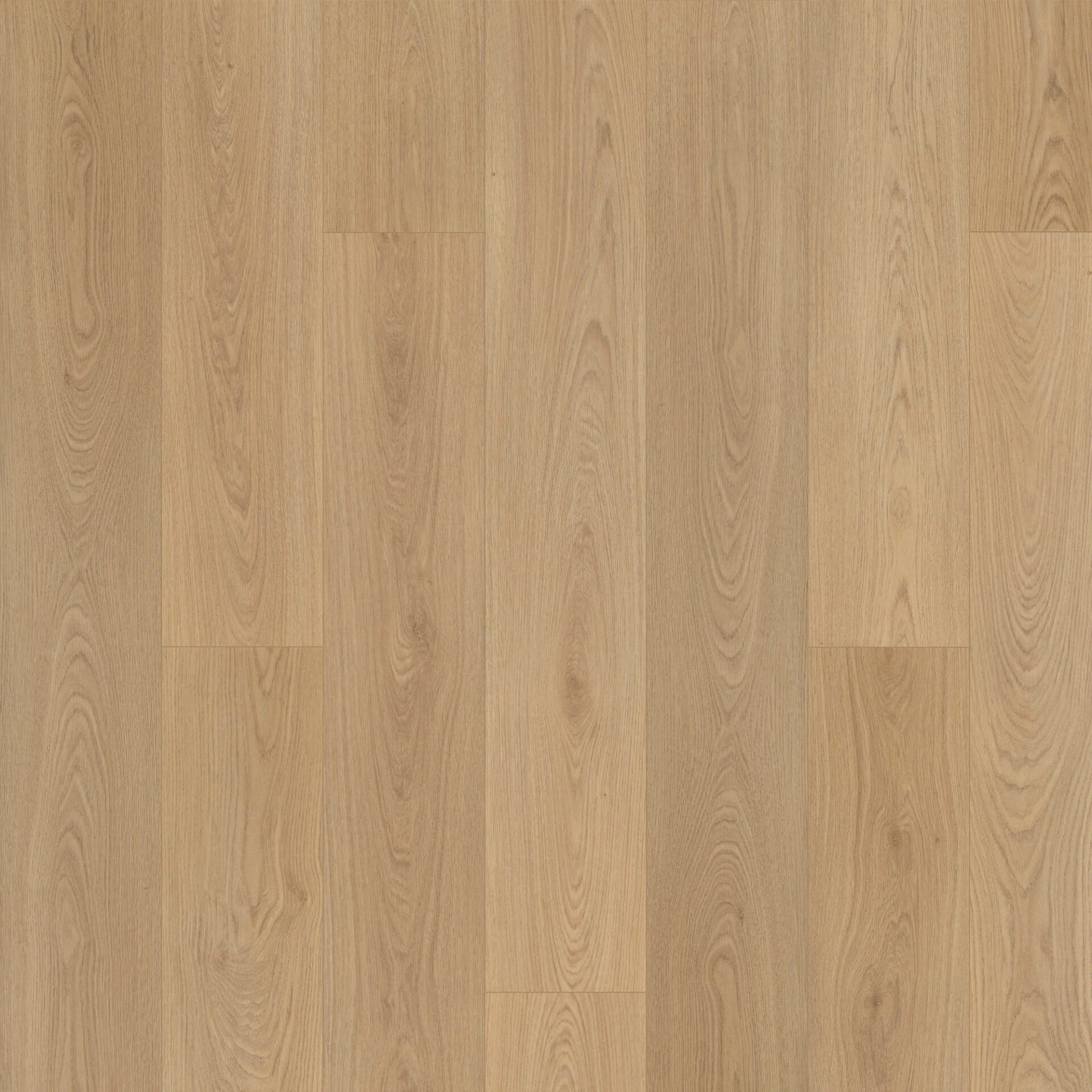 primrose_summerhill_67971_806_swatch